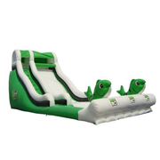 inflatable adult slide